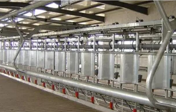 玉树钢结构 vs 传统结构:一场关于强度与速度的全面胜出!